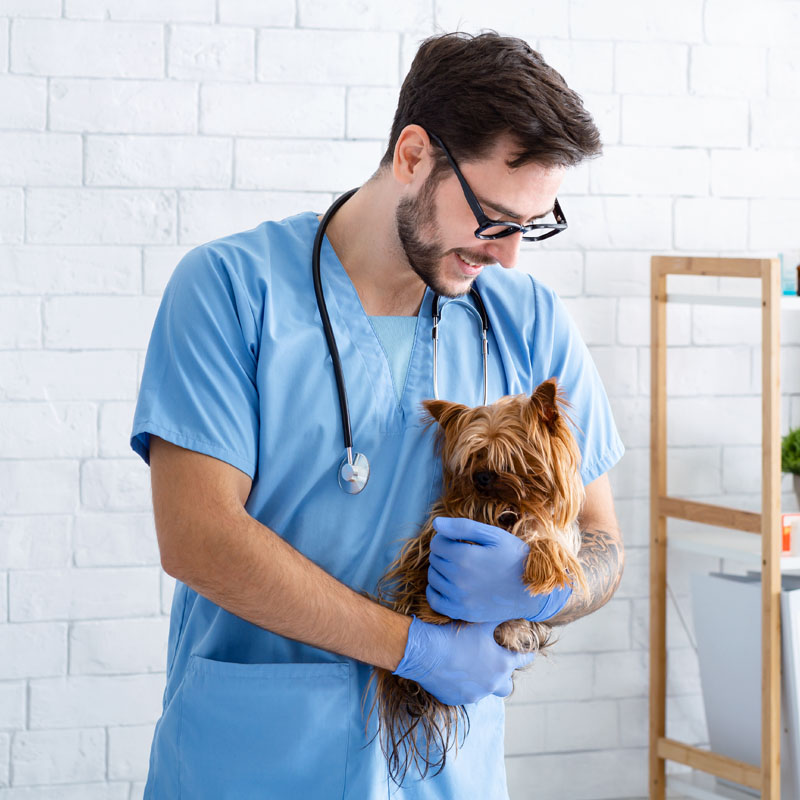 Razão da Esterilização
